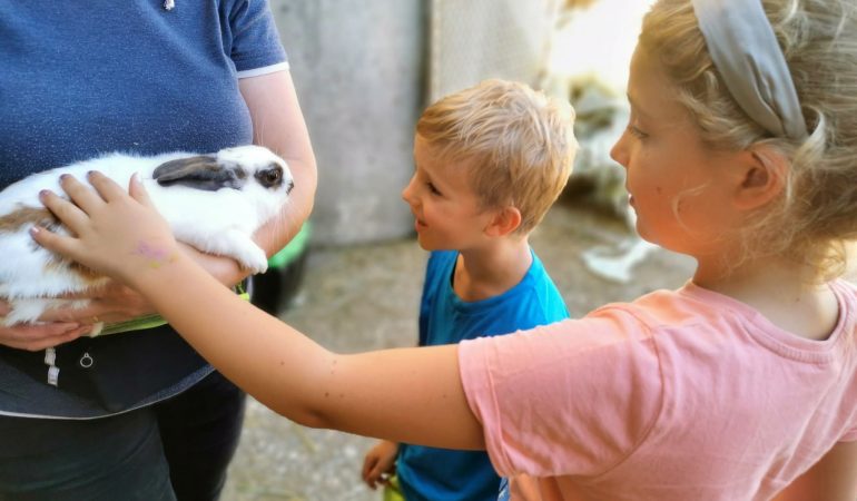 Ideje za počitniške dogodivščine na naši ravnici